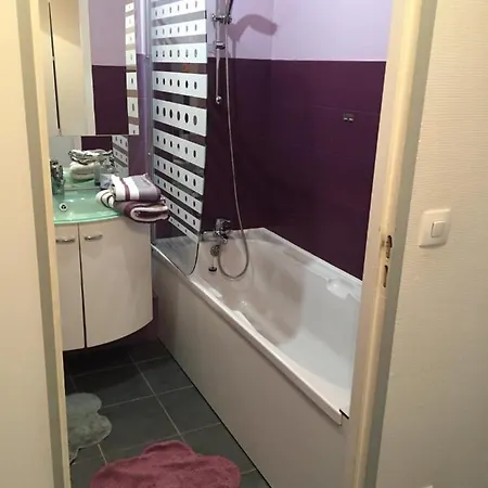 Les Magnolias Apartment Colmar