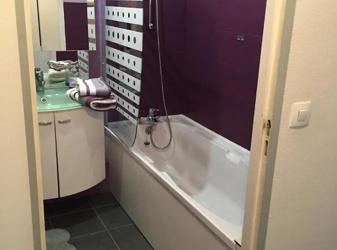 Les Magnolias Apartment Colmar